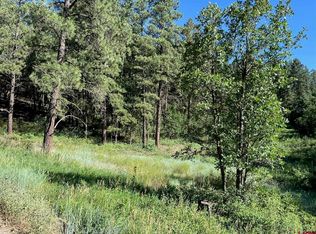 916A Easy St, Pagosa Springs, CO 81147