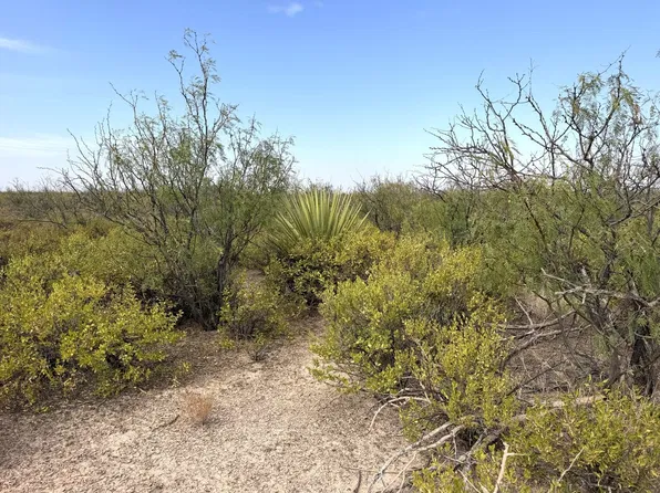 0 State Highway 349, Midkiff, TX 79755