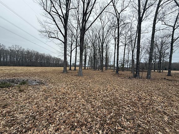 3rd image of 1000 County Road 193