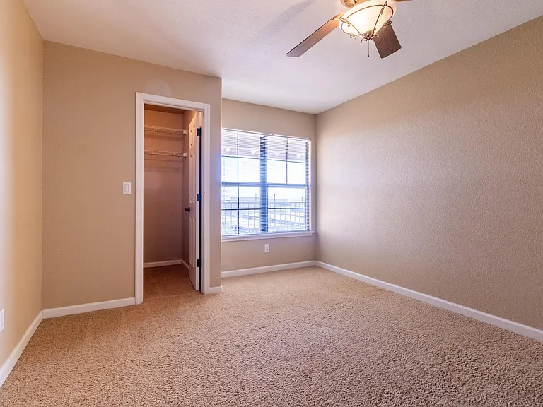 6651 N Campbell Ave #238 — Photo 9