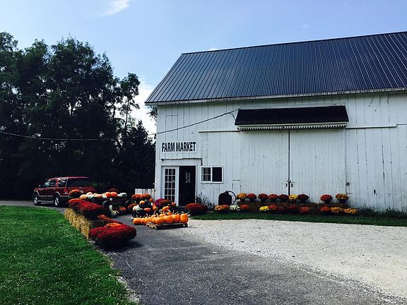 Fresh Farm Food 20 mins