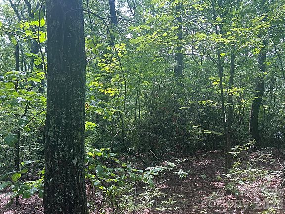 3rd image of 0 Pine Ridge Rd #21