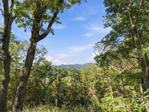 99999 Harrison Hill Rd, Swannanoa, NC 28778