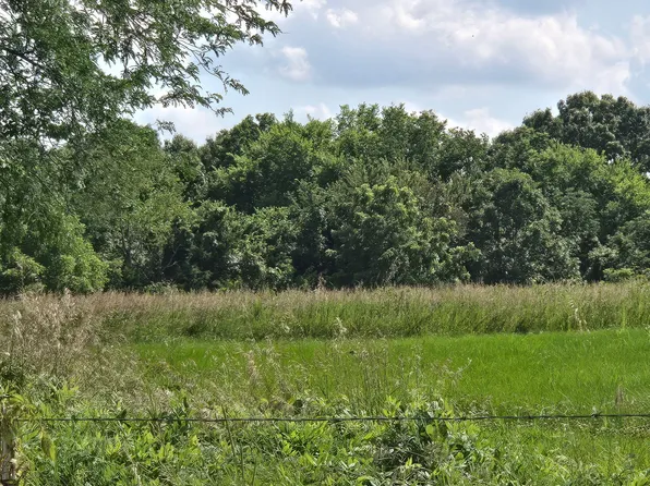 000 State Highway 65 #Highway, Louisburg, MO 65685