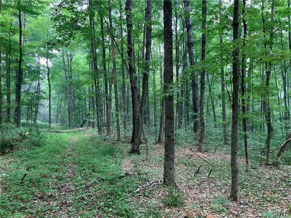 0 Popple Hill Rd Lot 5, Berkshire, NY 13736