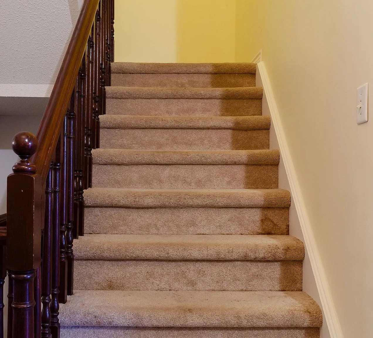 1 bed, $800 — Photo 2