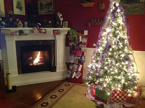 Fireplace in living room