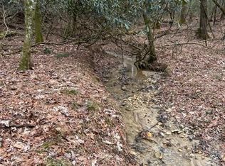 514 Sylvan Rd #3, Thurmond, NC 28683