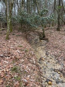 514 Sylvan Rd #3, Thurmond, NC, 28683
