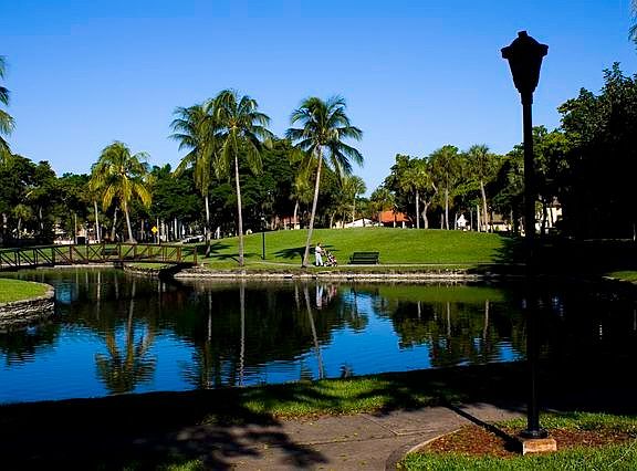 Park view