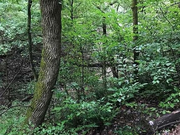 4th image of 9723 E State Highway 72