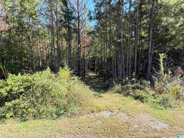 175 Parkwood Way #101, Odenville, AL 35120