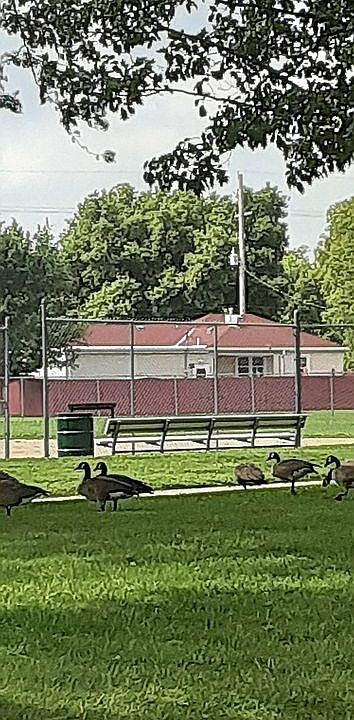 Adjacent with Pier Park(BackYard