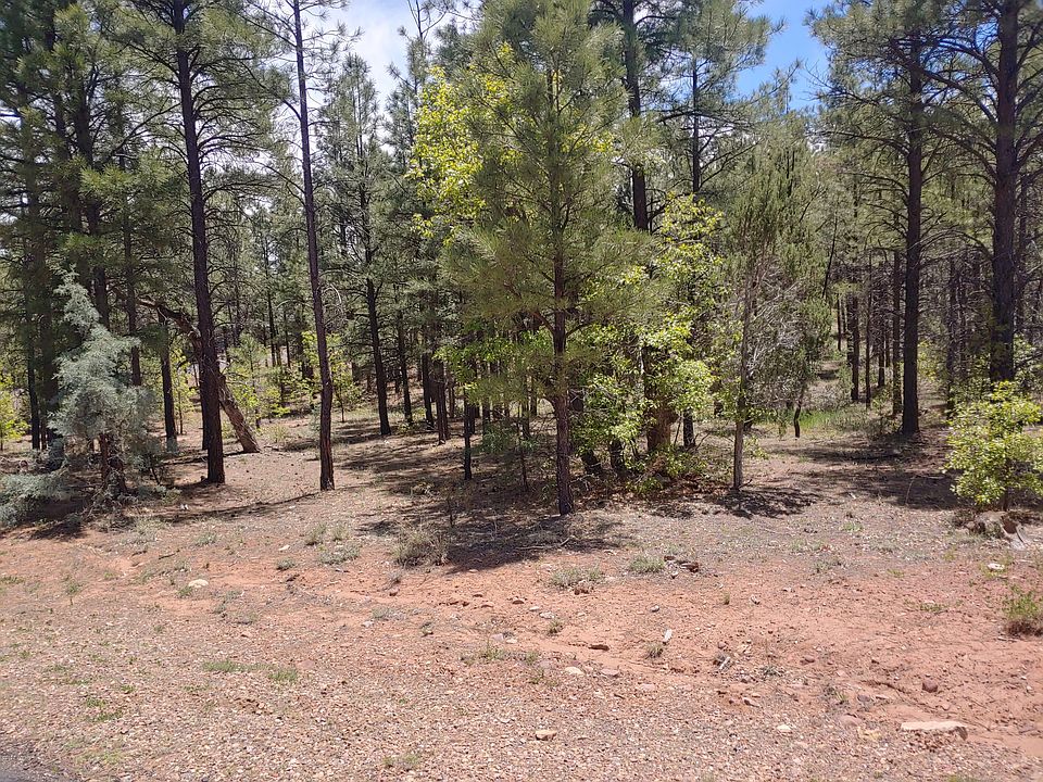 2nd image of 4151 W Acer Ln