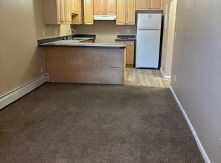 265 Brian Ave #102, Silverthorne, CO 80498