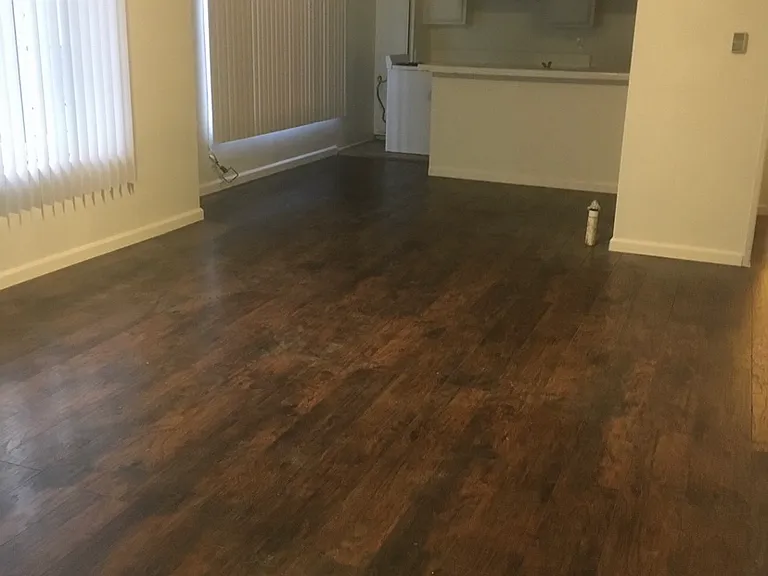 324 N Heliotrope Dr — Photo 4
