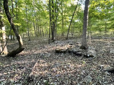 0 Carthage Hwy, Lebanon, TN, 37087
