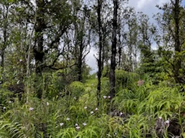 Menpachi St Lot 22, Mountain View, HI 96771