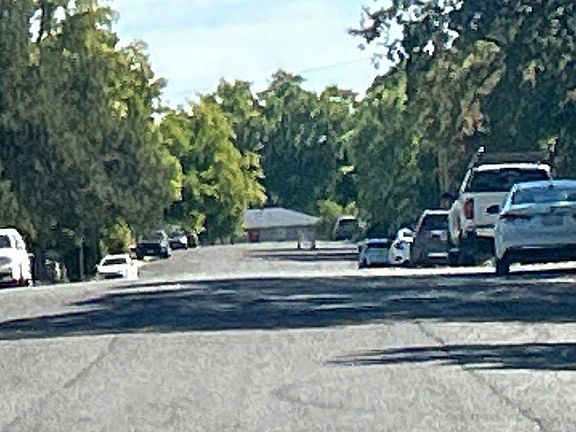 4th image of 216 Treasure Dr