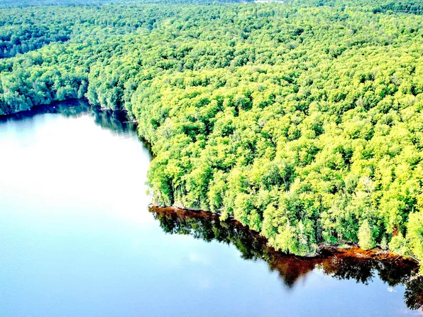 LOT 8 Petticoat Lake Rd, Michigamme, MI 49861