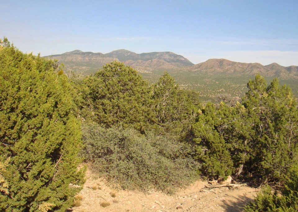 1st image of 31 La Cantera