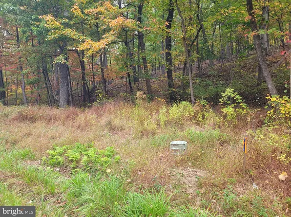 LOT 165 Hawk Trl, Winchester, VA 22602
