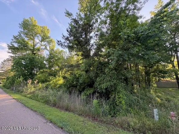 106 Holly Bush Rd, Brandon, MS 39047
