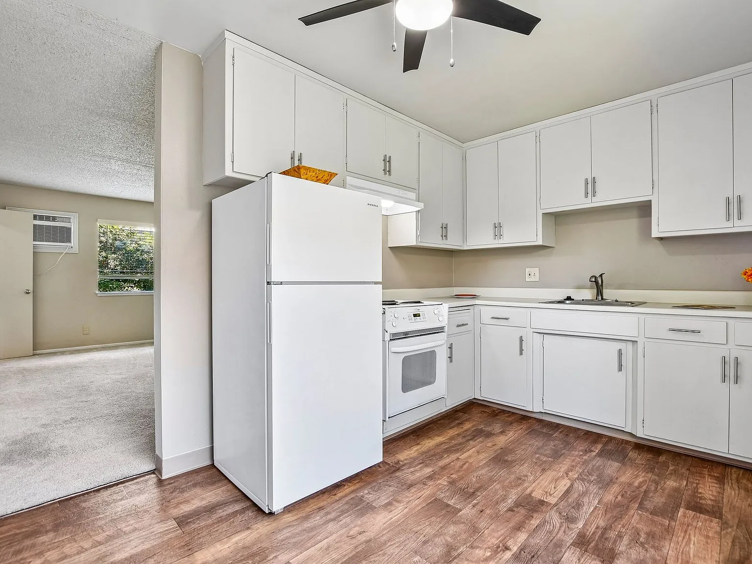 Camellia Manor Apartments — Photo 2