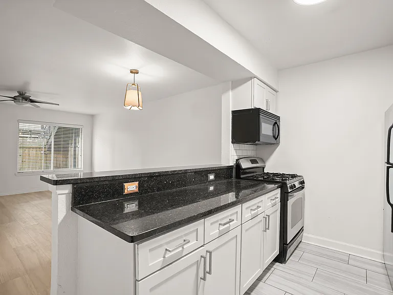 2020 S Congress Ave #A2102 — Photo 5