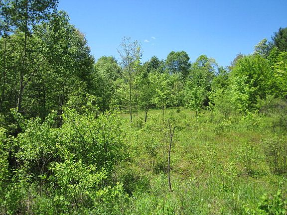 4th image of Rt 66