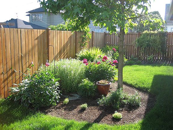 Backyard fully fenced