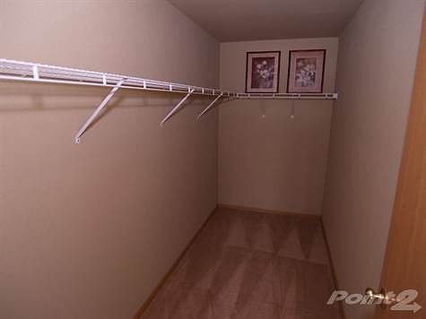 Exceptionally Large closet 11'x5'