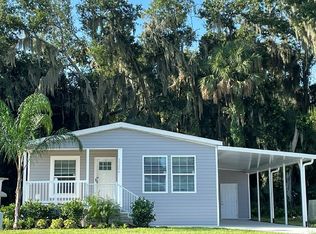 13206 Grape Ave, Grand Island, FL 32735