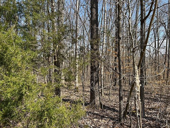 5th image of 0 Lakeshore Cir Lot 274