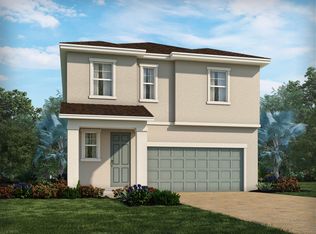 33882 Floating Heart Ct, Wesley Chapel, FL 33545
