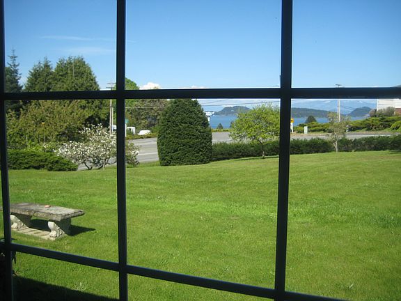 View from the living room 