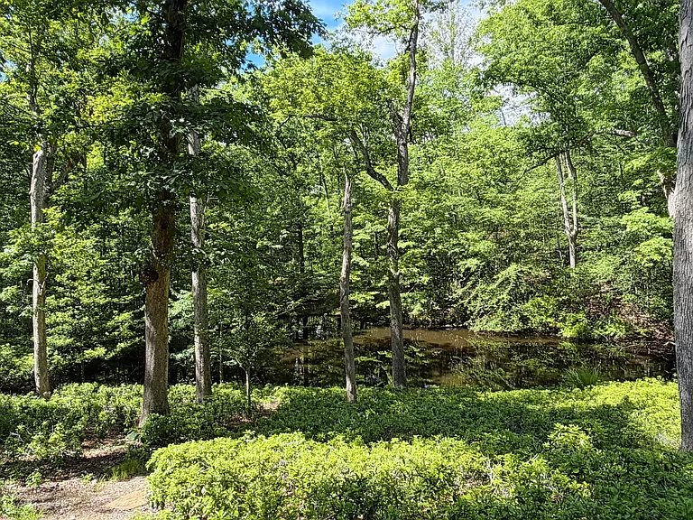 10611 Allenwood Ln — Photo 46
