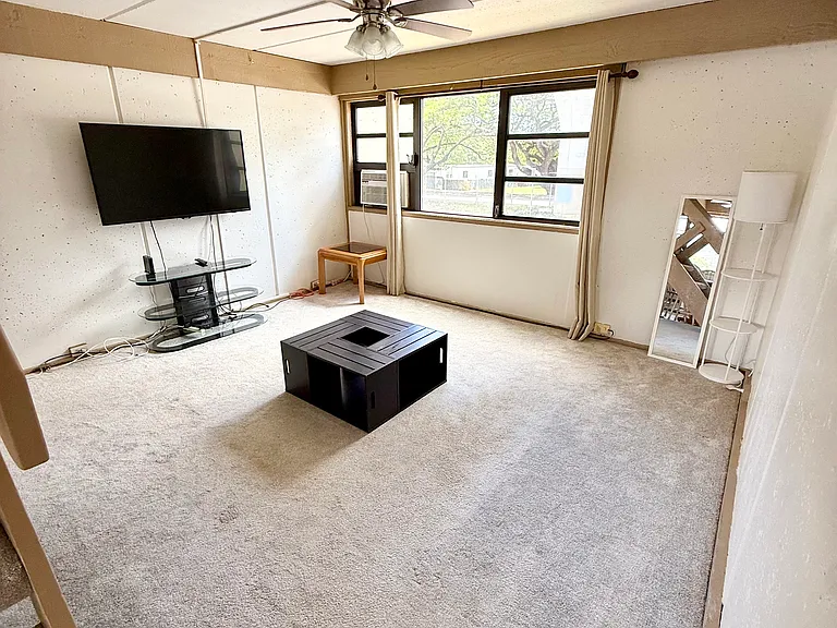 310 Kamehameha Hwy — Photo 8