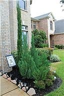 3rd image of 12603 Cobble Springs Dr