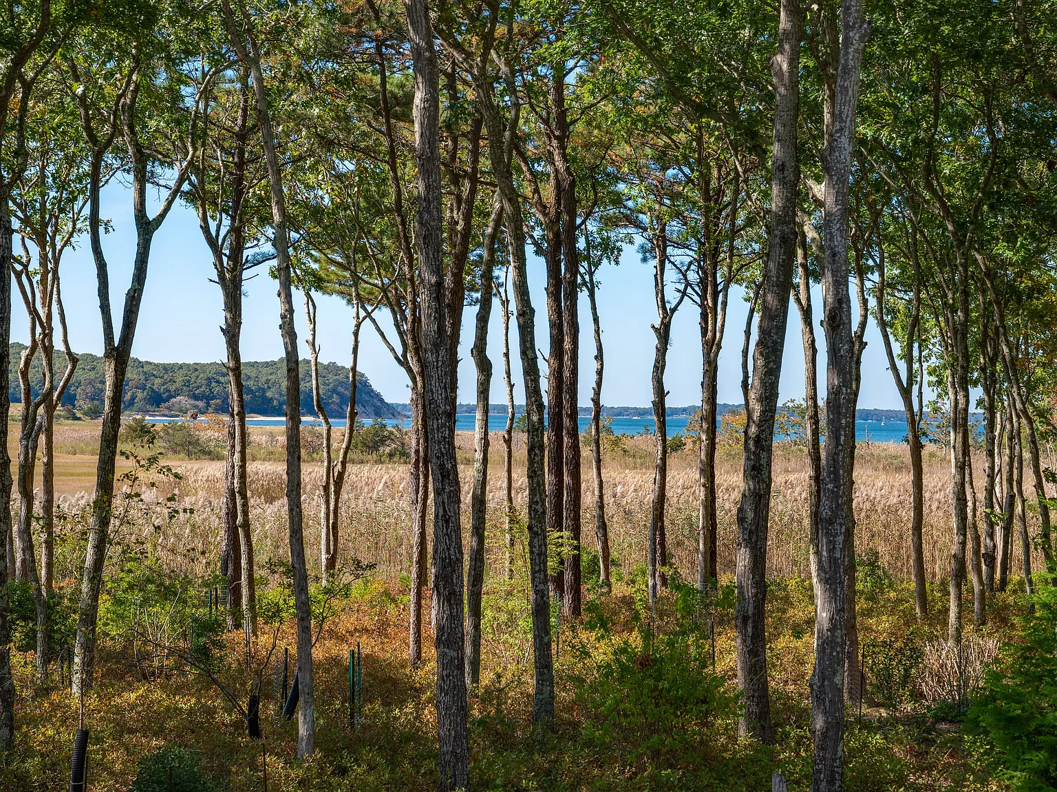 A grand East Hampton rental with incomparable views available now — Photo 1