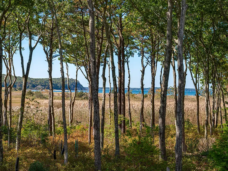 37 Mile Hill Rd — Photo 1