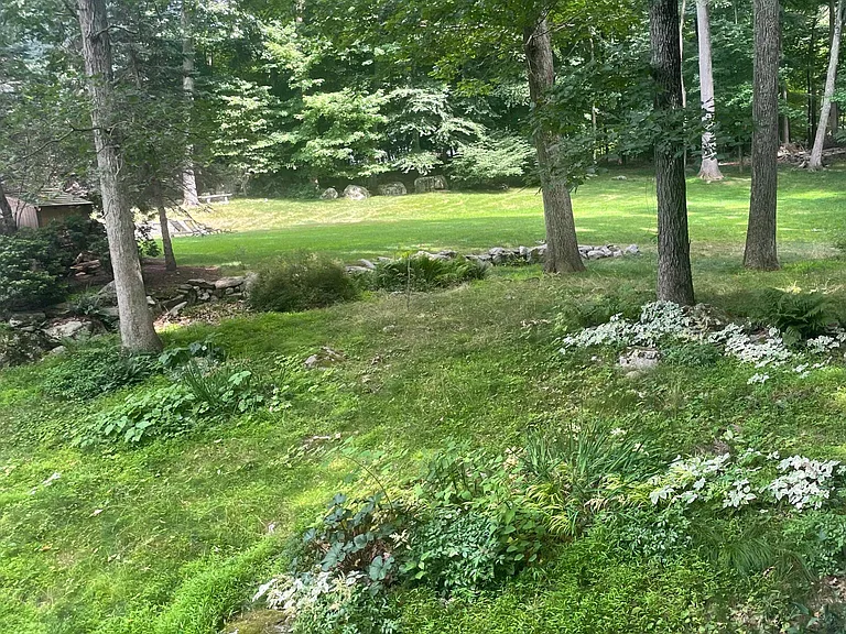 View from porch of back yard