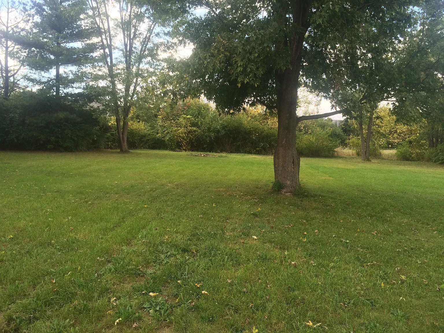 2 bed, 1.5 bath, 2392 sqft, $1,200 — Photo 2