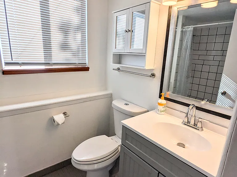 Lower Level bath
