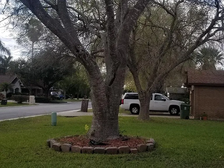 901 Tesoro Ave — Photo 19