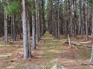 5684 Moses Dingle Rd, Manning, SC 29102