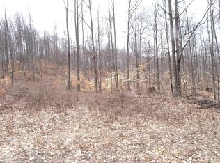 L Chief Rd, Bear Lake, MI 49614