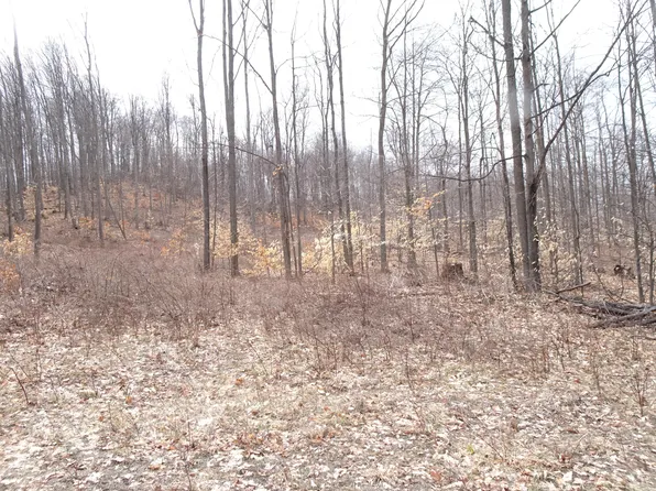 L Chief Rd, Bear Lake, MI 49614