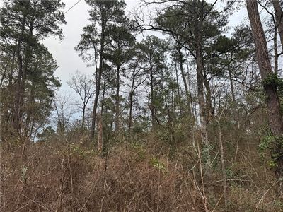 13475 White Oak Dr, Plantersville, TX, 77363