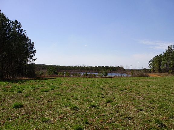Pond from Rear Pasture